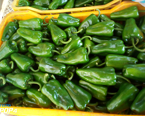 piment2